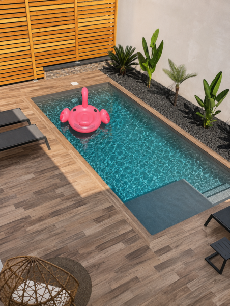 PISCINE SANS VIS A VIS A LA JOURNEE